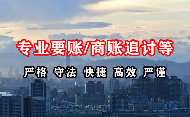 大丰收债公司